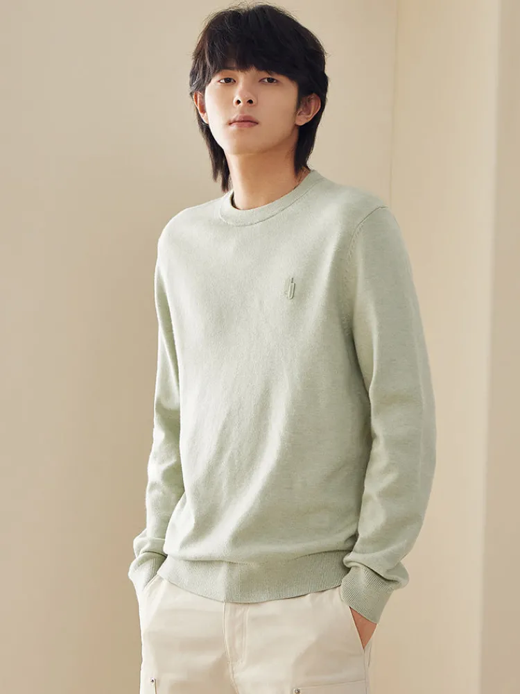 mens_crew_neck_sweater_6.webp SEMIR Men's crew neck sweater